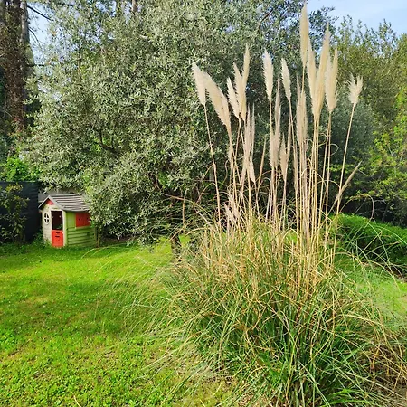 Matilde Only 10 Min From The Villa Novilara